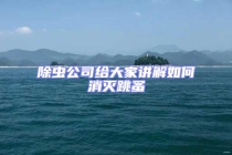 除蟲公司給大家講解如何消滅跳蚤