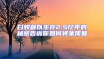 白蟻賴以生存2.5億年的秘密告訴你如何將集體智