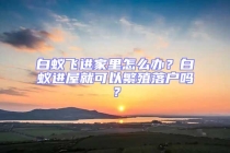 白蟻飛進家里怎么辦？白蟻進屋就可以繁殖落戶嗎？
