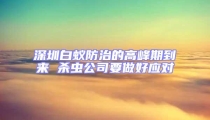 深圳白蟻防治的高峰期到來 殺蟲公司要做好應(yīng)對