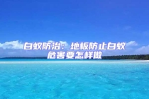 白蟻防治：地板防止白蟻危害要怎樣做