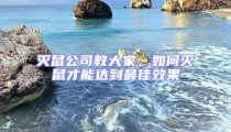滅鼠公司教大家，如何滅鼠才能達到最佳效果