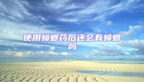 使用蟑螂藥后還會(huì)有蟑螂嗎