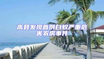 高縣發現首例白蟻嚴重危害農房事件