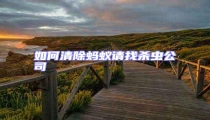 如何清除螞蟻請(qǐng)找殺蟲(chóng)公司