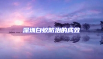 深圳白蟻防治的成效