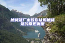 捕蠅籠廠家教你認(rèn)識捕蠅籠的常見類型