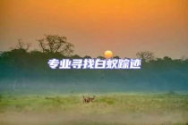 專(zhuān)業(yè)尋找白蟻蹤跡