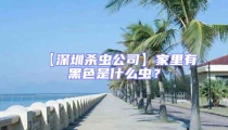【深圳殺蟲公司】家里有黑色是什么蟲？