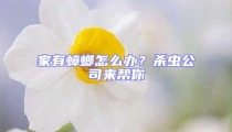 家有蟑螂怎么辦？殺蟲公司來幫你
