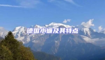 德國(guó)小蠊及其特點(diǎn)