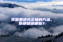 滅鼠要講究正確的方法，你都知道哪些？