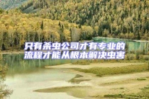 只有殺蟲公司才有專業(yè)的流程才能從根本解決蟲害