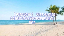 【滅鼠公司】為什么老鼠總是喜歡咬硬邦邦的東西呢？
