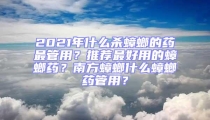 2021年什么殺蟑螂的藥最管用？推薦最好用的蟑螂藥？南方蟑螂什么蟑螂藥管用？