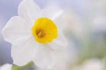 除蟲公司在夏季如何為工廠做好蟲害防控？