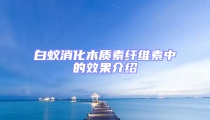 白蟻消化木質(zhì)素纖維素中的效果介紹
