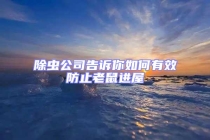 除蟲公司告訴你如何有效防止老鼠進屋