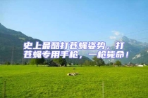 史上最酷打蒼蠅姿勢(shì)，打蒼蠅專用手槍，一槍斃命！