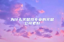 為什么滅鼠找專業(yè)的滅鼠公司更好