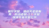 餐廳滅鼠，酒店滅老鼠服務，防治老鼠,工廠滅鼠,深圳專業滅鼠公司