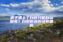 房子遇上了白蟻只能自認倒霉？白蟻防治辦法有哪些