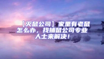 【滅鼠公司】家里有老鼠怎么辦，找捕鼠公司專業人士來解決！