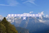 家里發現蛾蠓如何有效消滅