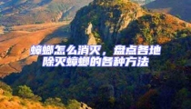 蟑螂怎么消滅，盤點(diǎn)各地除滅蟑螂的各種方法