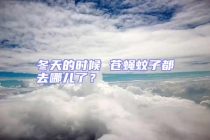 冬天的時候 蒼蠅蚊子都去哪兒了？