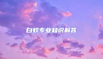 白蟻專業(yè)知識解答