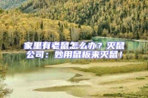 家里有老鼠怎么辦？滅鼠公司：妙用鼠板來滅鼠！