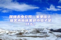 深圳殺蟲公司：家里床上.宿舍木板床黑色小蟲子是什么？