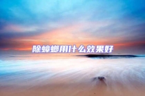 除蟑螂用什么效果好