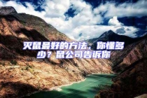 滅鼠最好的方法，你懂多少？鼠公司告訴你