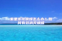 家里發現蛾蠓怎么辦？如何有效消滅蛾蠓