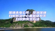 深圳殺蟲公司：羅湖深圳白蟻防治中心最新研究滅白蟻的有效方法