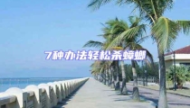 7種辦法輕松殺蟑螂