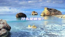 什么是螨蟲？