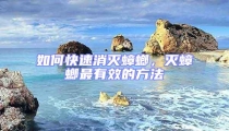 如何快速消滅蟑螂，滅蟑螂最有效的方法