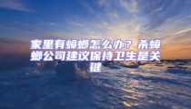 家里有蟑螂怎么辦？殺蟑螂公司建議保持衛生是關鍵