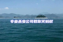 專業殺蟲公司教你滅螞蟻